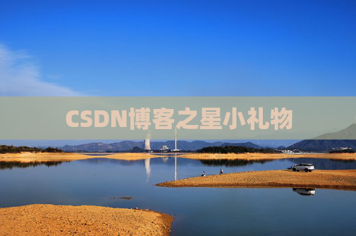 CSDN博客之星小礼物